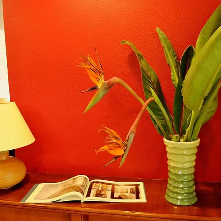 Rasula Alta Hotel 3*